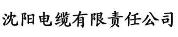 bt磁力王电缆厂logo